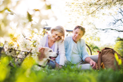 Older couple sit with their dog surrounded by nature