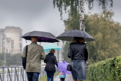 Family under umbrellas
