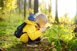 A boy using a magnifying glass in the woods.