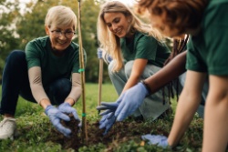 A group of volunteers planting trees.